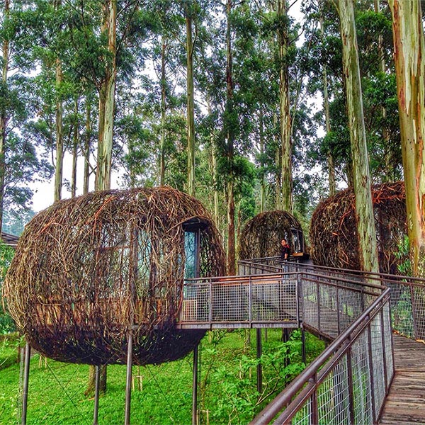 5 Destinasi Wisata Keluarga di Sekitar Lembang