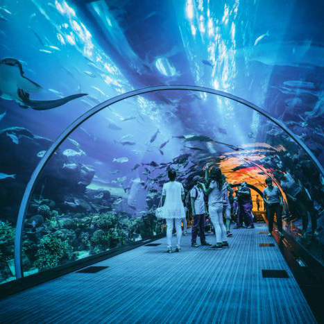 Rekomendasi Tempat Wisata Indoor di Musim Hujan