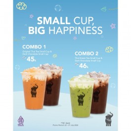 Promo Bundling