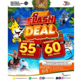 FLASH DEAL