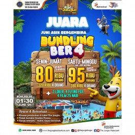 Promo Bundling