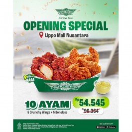 Opening Lippo Mall Nusantara