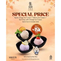 Promo Ice Cream