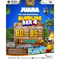 Promo Bundling